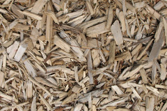 biomass boilers Allaleigh